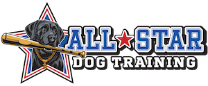 All-Star Dog Training