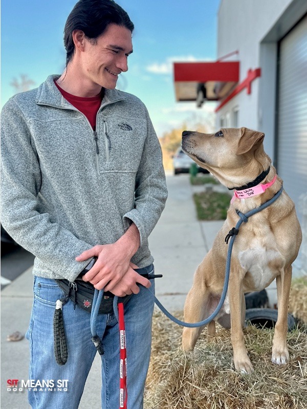 dog and trainer looking at each other